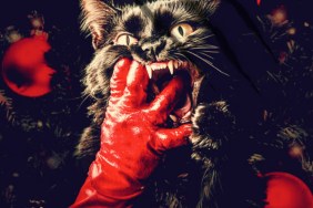 Jake Busey & Charlotte Kirk Fight Off Feral Cats in Horror Movie Catnip